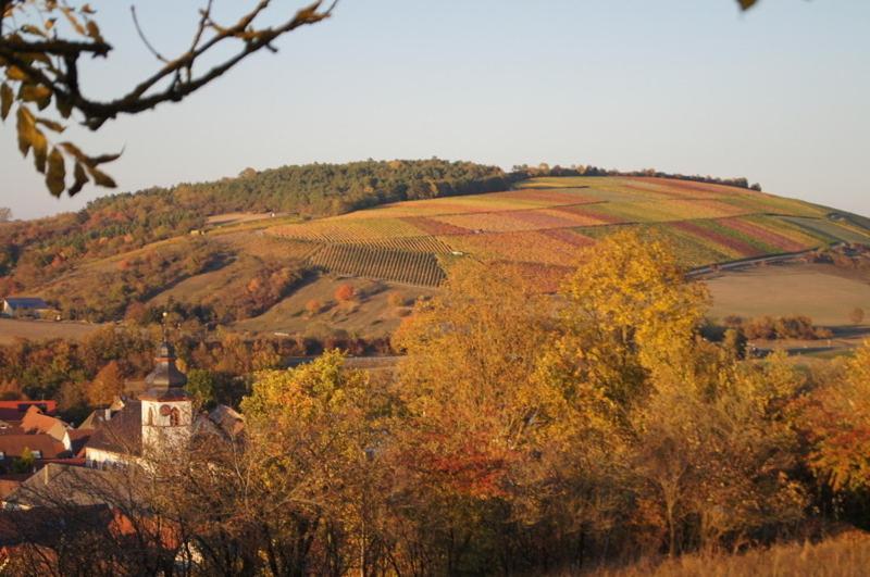 Krone Das Hotel Tauberrettersheim Dış mekan fotoğraf